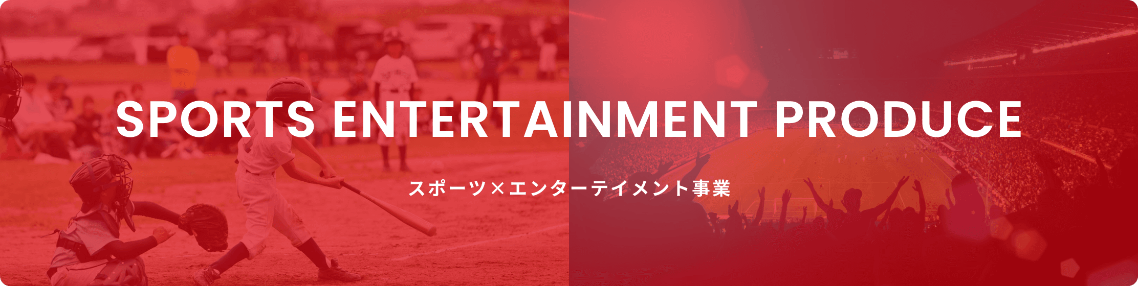 SPORTS ENTERTAINMENT PRODUCE スポーツ×エンターテイメント事業