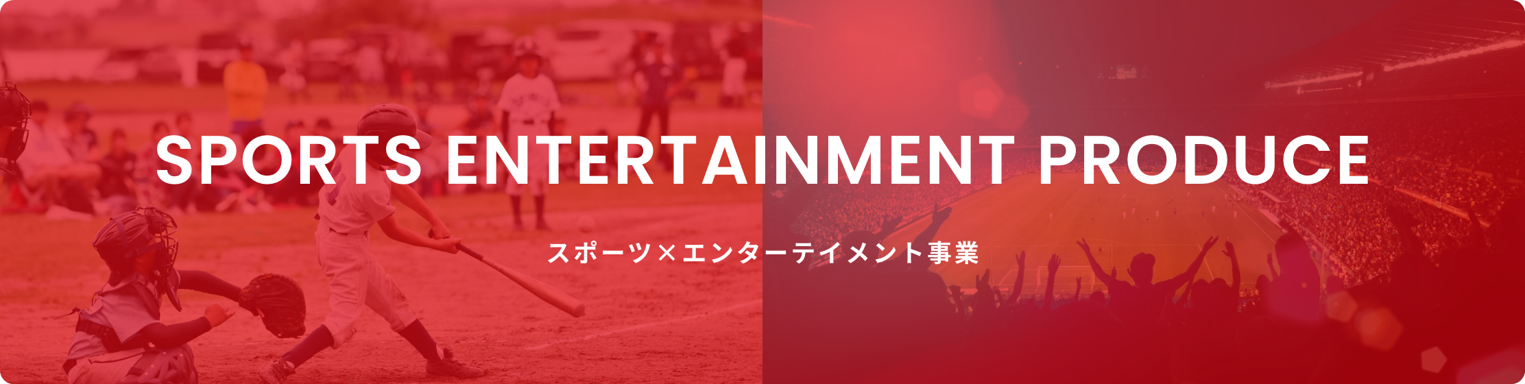 SPORTS ENTERTAINMENT PRODUCE スポーツ×エンターテイメント事業